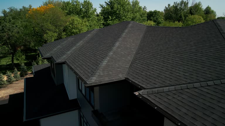 Best Roof Moss and Algae Removal  in Lyndhurst, OH